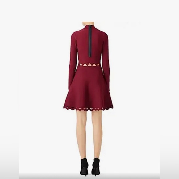John & Jenn Knit Long Sleeve Burgundy Dress As Seen on Rent The Runway - Picture 1 of 7